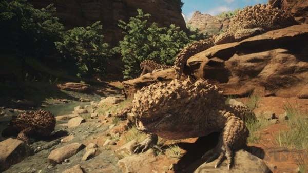 龍之信條2電腦版