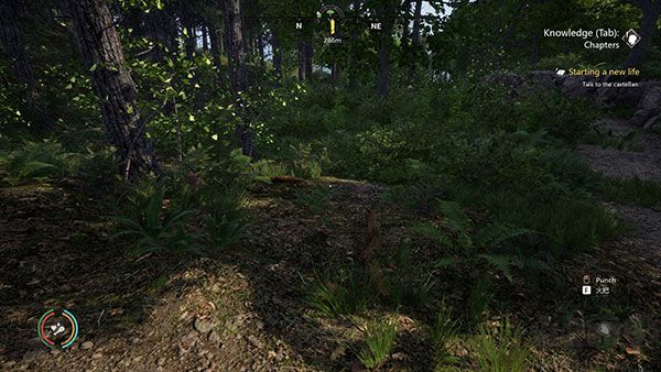 中世紀王十項修改器PC