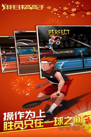 羽毛球高高手雙人聯(lián)機(jī)