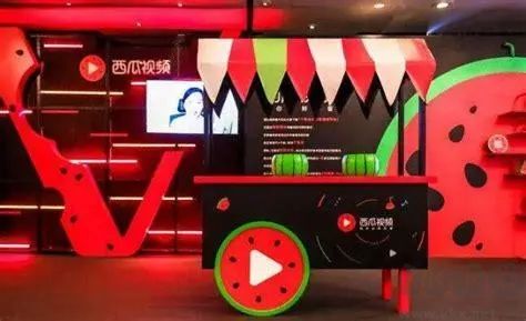 西瓜視頻電腦版