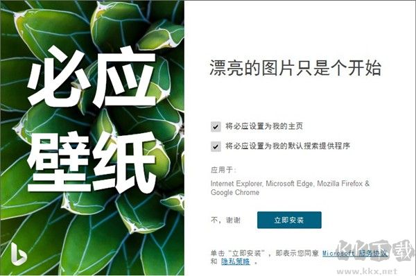 必應壁紙電腦版