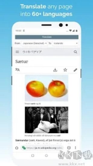 kiwi瀏覽器高級(jí)版