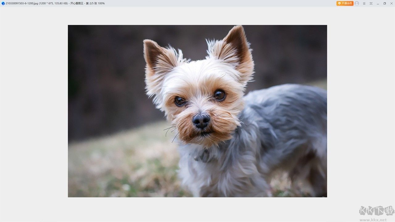 開心看圖王免費(fèi)版