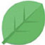 雀大師官方版 v3.3.0綠色版