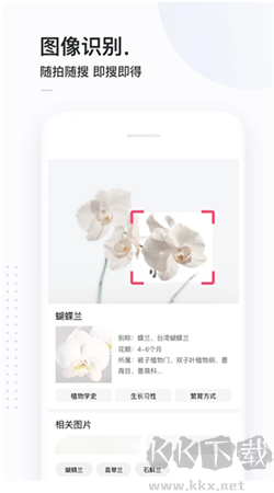 簡(jiǎn)單搜索瀏覽器app