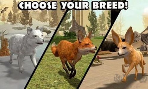 終極狐貍模擬器手機版