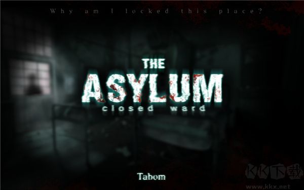 封閉病棟(the asylum closed ward)