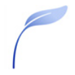 寫(xiě)作天下無(wú)損版 v3.0.7