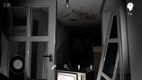 孫美琪疑案王勇完整版