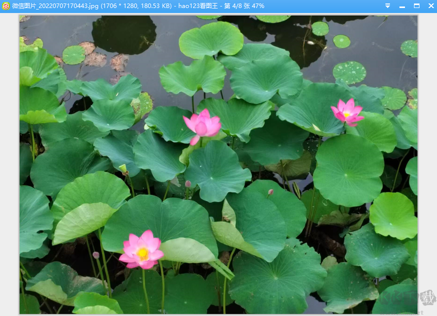 hao123看圖王最新版