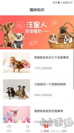 翻譯狗安卓最新版