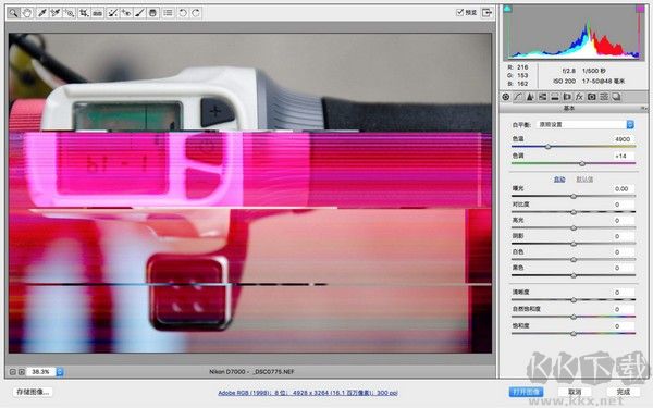 尼康NEF Codec(圖像解碼器)