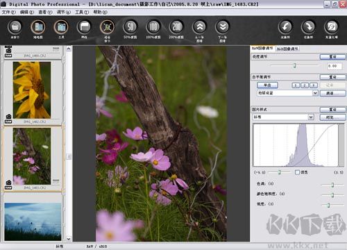 DPP(照片處理軟件)