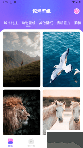 驚鴻壁紙app綠色版