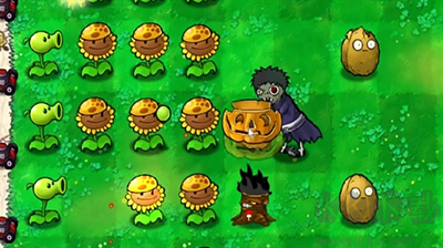 植物大戰(zhàn)僵尸火影版