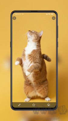 星塘圖集最新版