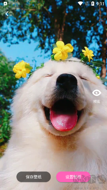 酷琪壁紙安卓版