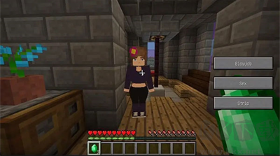 我的世界珍妮模組(Jenny Mod)