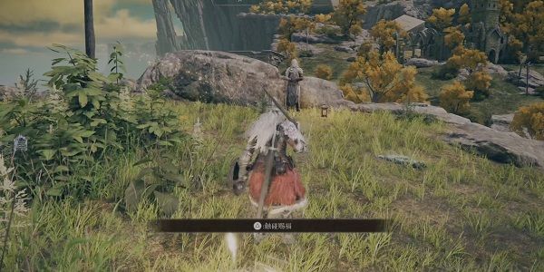 艾爾登法環(huán)電腦版