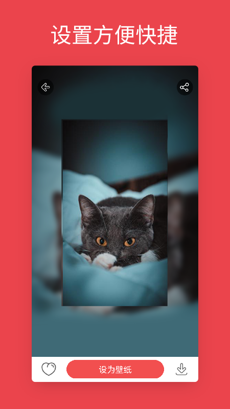 安卓動(dòng)態(tài)壁紙app高清版