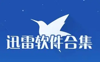 迅雷軟熱門(mén)版本推薦-迅雷全部版本集合-迅雷最新版/綠色版/電腦版