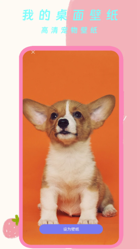 我的桌面壁紙app安卓版
