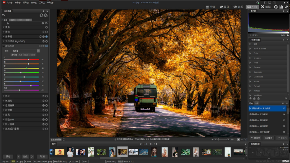 ACDsee專業(yè)版