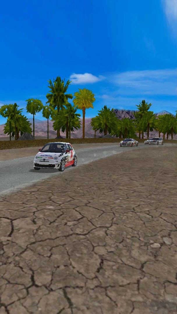 ???????極速拉力賽車(chē)全新版