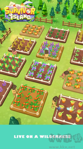 幸存者島修改版