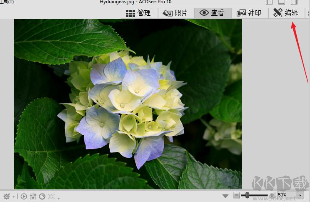 照片查看器專業(yè)版
