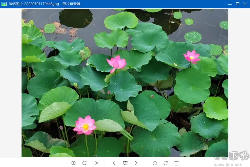 照片查看器專業(yè)版