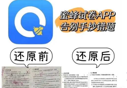 蜜蜂試卷app軟件全部版本合集-蜜蜂試卷app實用版本推薦-蜜蜂試卷最新版/安卓版/無廣告版
