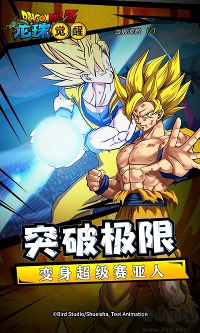龍珠覺醒安卓版