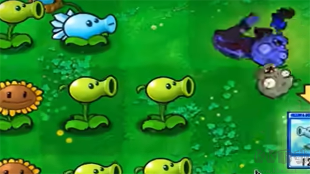 植物大戰(zhàn)僵尸抽卡版