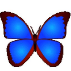 bkViewer(圖片瀏覽器) 