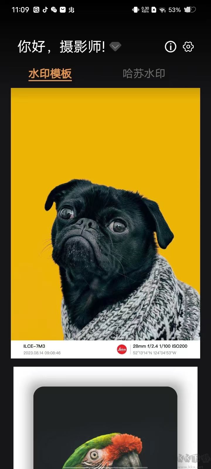 邊框水印大師(永久會(huì)員)