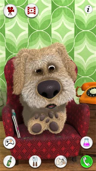 會說話的狗狗本新手攻略3