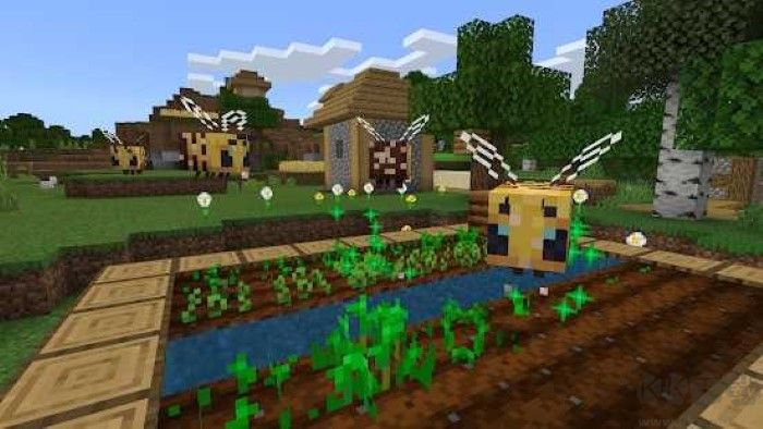 我的世界國際版