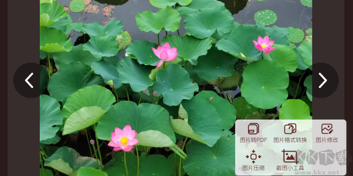 云啟看圖最新版