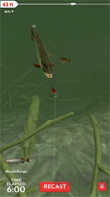 3D真實(shí)釣魚中文版