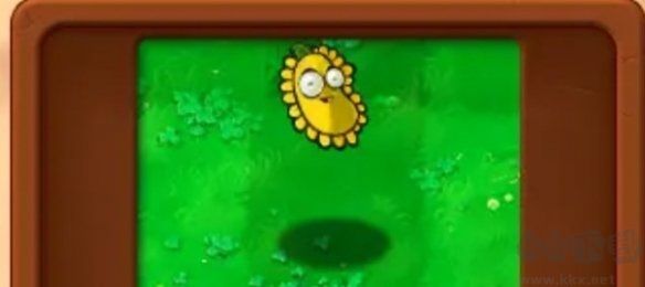 基礎(chǔ)植物圖鑒介紹截圖2