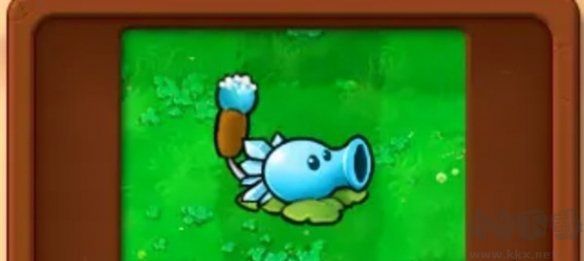 基礎(chǔ)植物圖鑒介紹截圖6