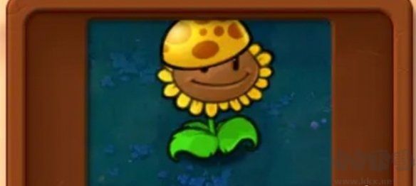 基礎(chǔ)植物圖鑒介紹截圖10