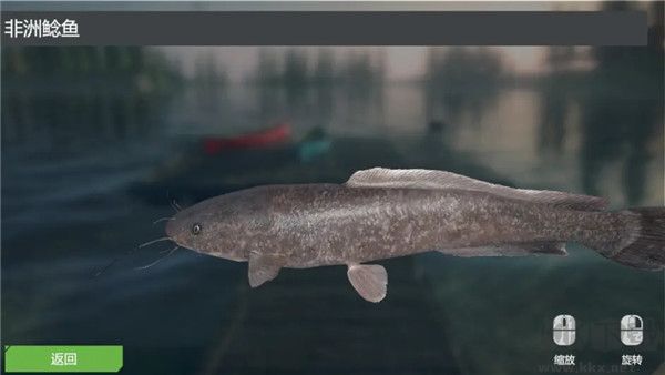 終極釣魚(yú)模擬器無(wú)限金幣版游戲攻略2