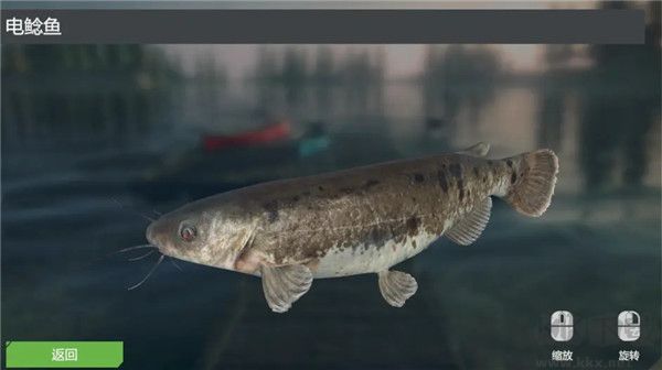 終極釣魚(yú)模擬器無(wú)限金幣版游戲攻略5