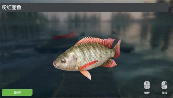 終極釣魚(yú)模擬器無(wú)限金幣版游戲攻略10