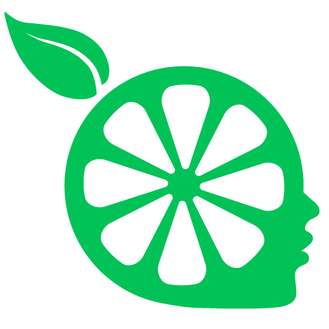 檸檬云財務(wù)軟件正式版 v19.00