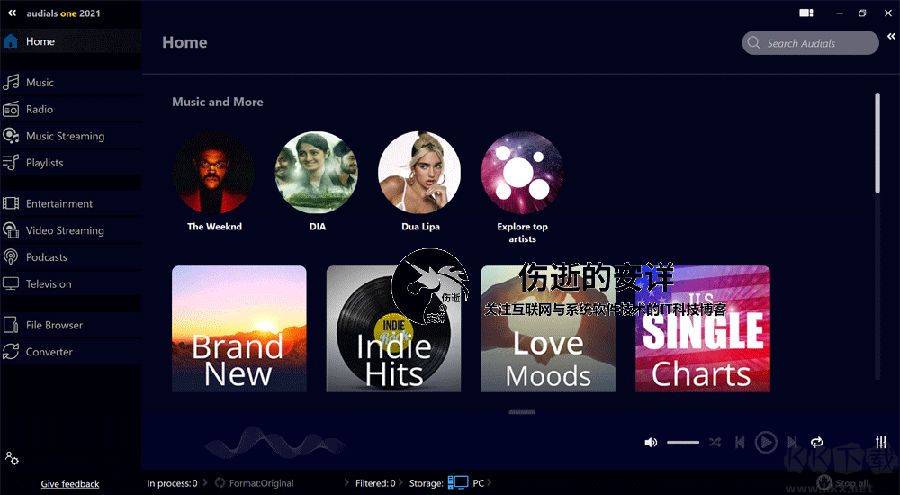 Audials One 2021(流媒體制作軟件)