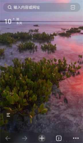 樂感瀏覽器app手機版