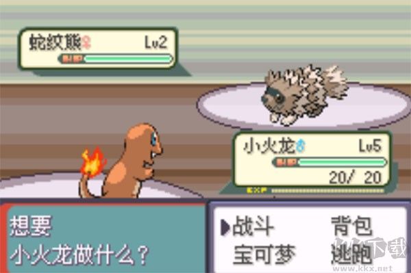 口袋妖怪傳說綠寶